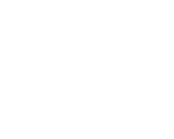 Carolina Custom logo