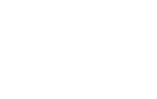 Palmetto Road logo