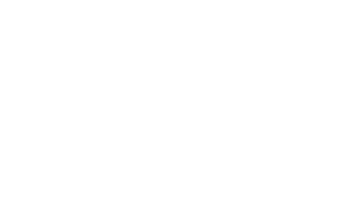 Palmetto Tile NC logo